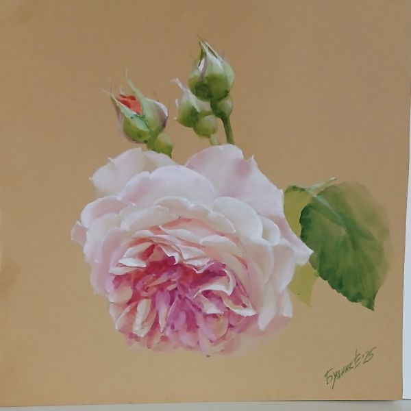 Будник Екатерина Роза