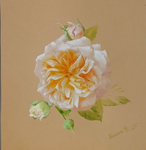 Будник Екатерина Роза