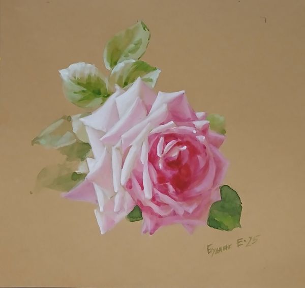 Будник Екатерина Роза