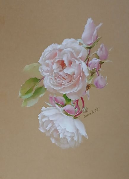 Будник Екатерина Розы