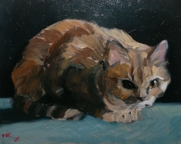 Никитина Юлия Этюд с рыжей кошкой