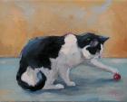 Никитина Юлия Кот играющий