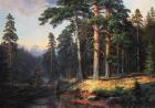 Балакирев Андрей Сосны великаны